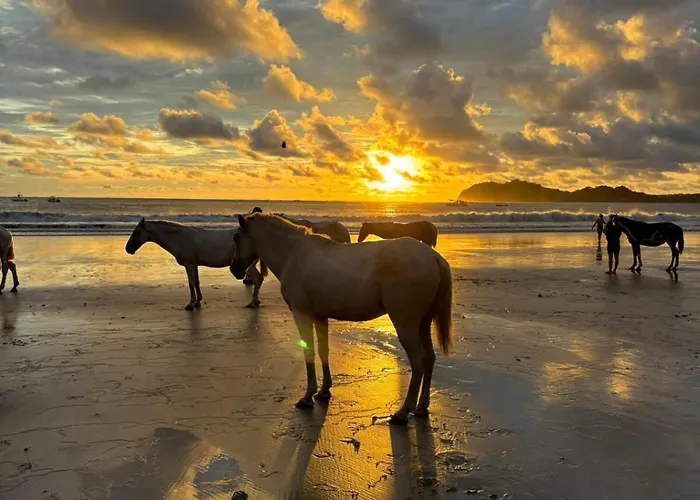 Casa Melina-playa Carrillo Serenity Seekers